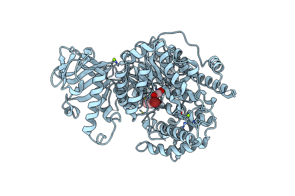 5C9W image