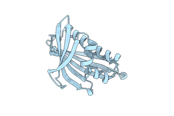 5C9Y image
