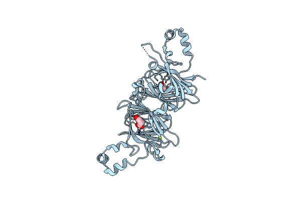 5CAD image