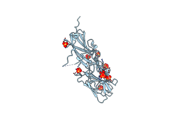 5CAG image