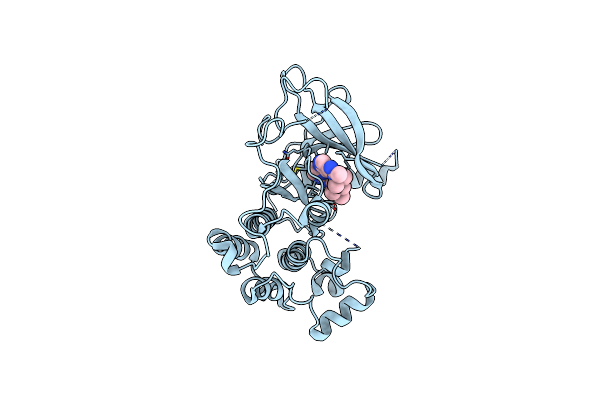 5CAO image