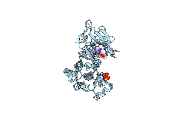 5CAS image