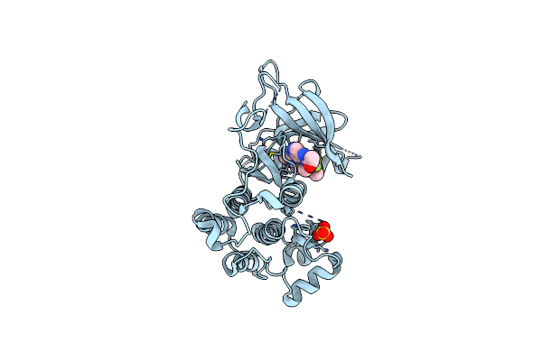 5CAU image
