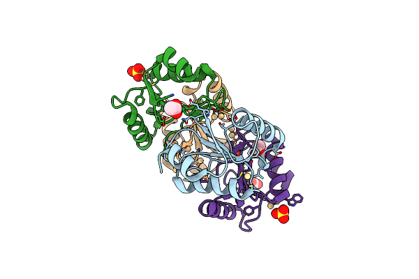5CAX image