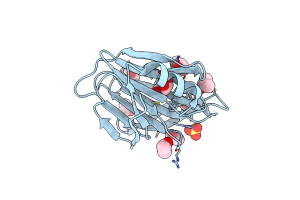 5CAZ image