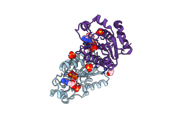 5CB8 image