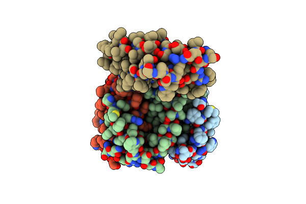 5CBH image