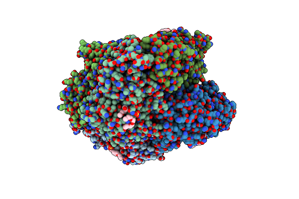 5CBM image