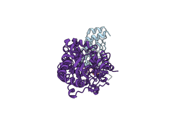 5CBN image