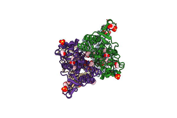 5CBS image