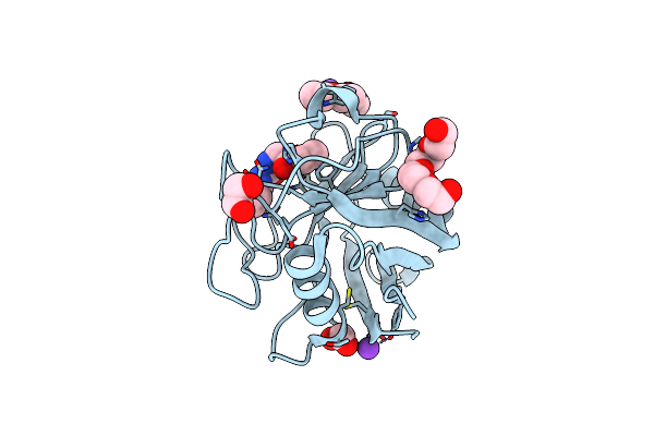 5CBT image