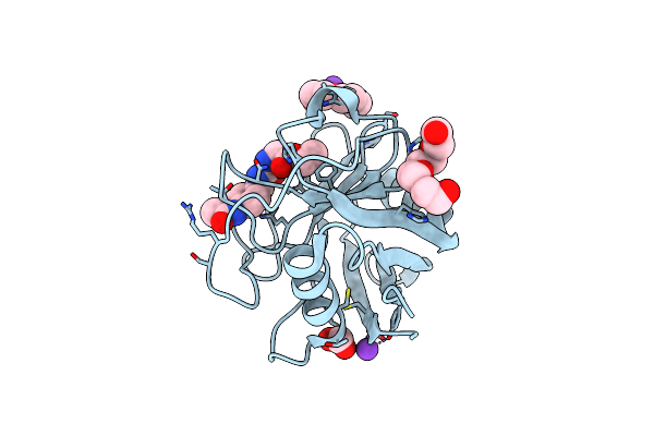 5CBW image
