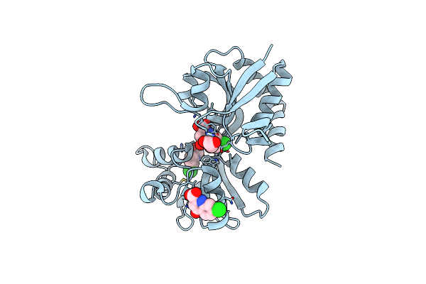 5CC2 image