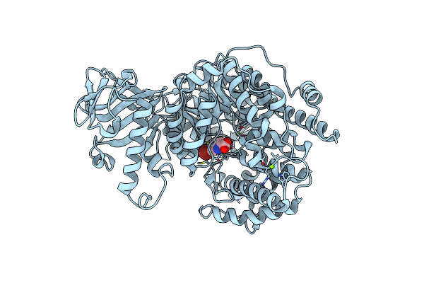 5CC3 image