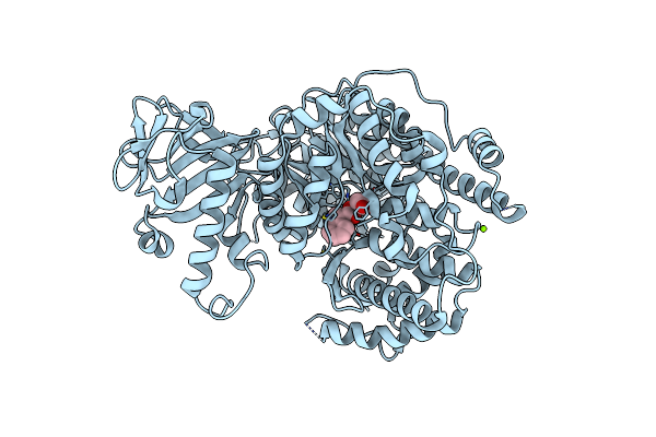 5CC5 image