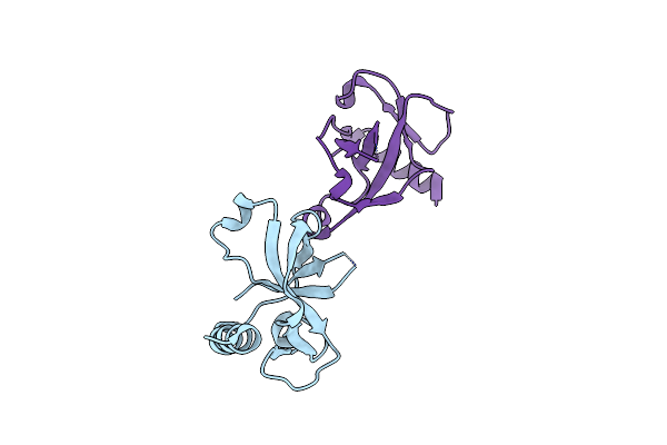 5CCA image