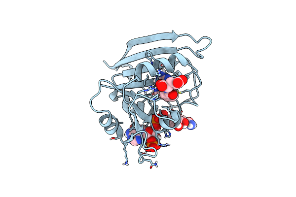 5CCC image