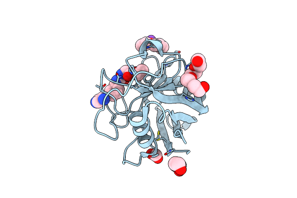 5CCN image