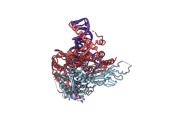 5CCX image