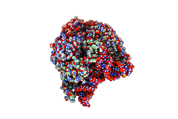 5CD1 image