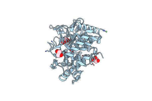 5CD2 image