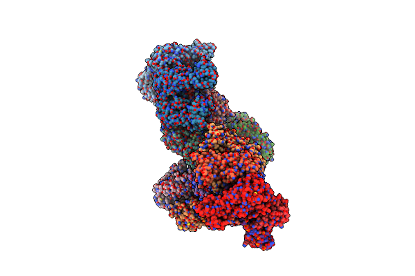 5CD4 image