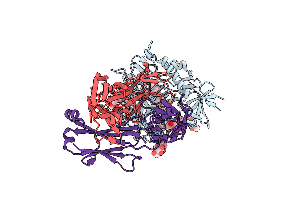 5CD5 image