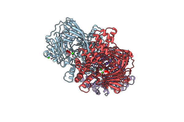 5CD6 image