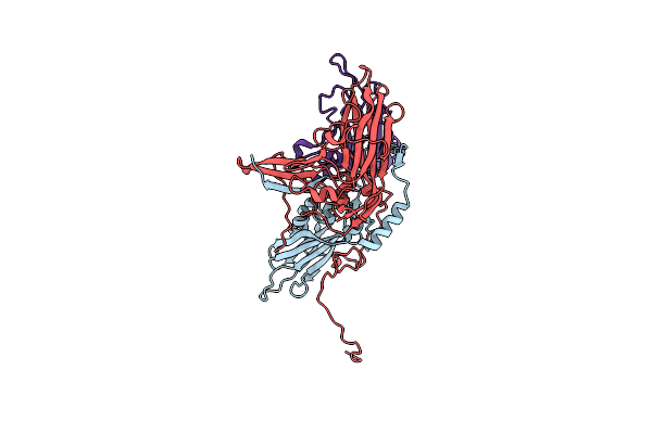 5CDD image