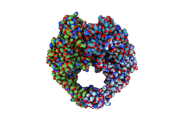 5CDP image