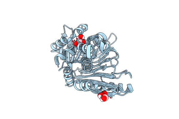 5CDZ image
