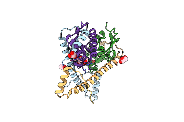 5CEG image