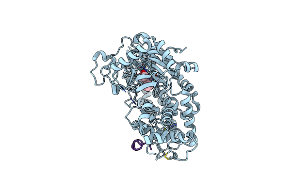5CEH image