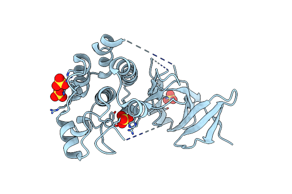5CEM image