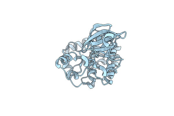 5CEN image