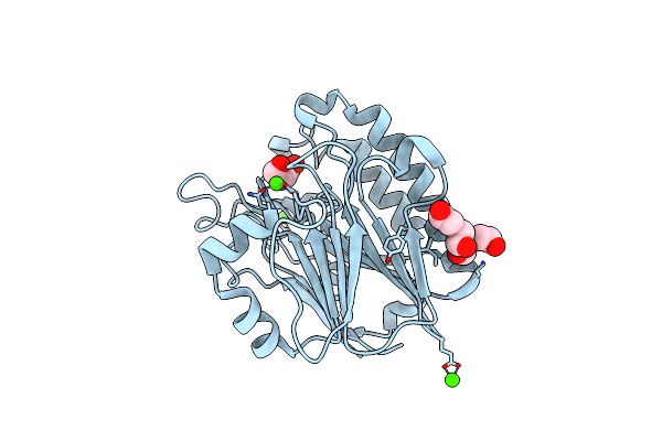 5CFE image