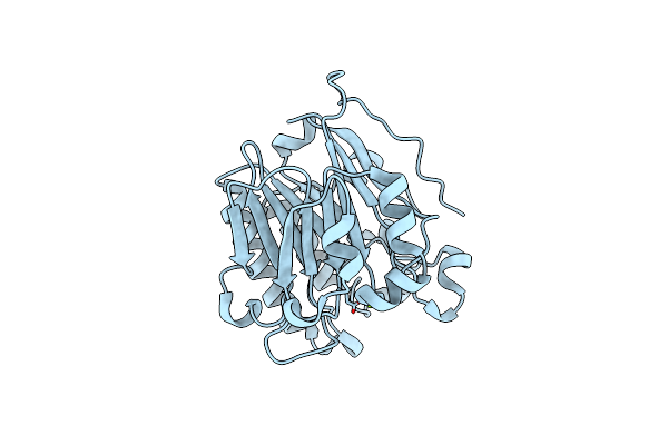 5CFG image