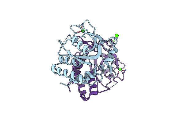 5CFR image