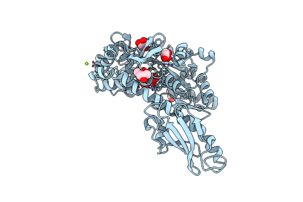 5CFV image