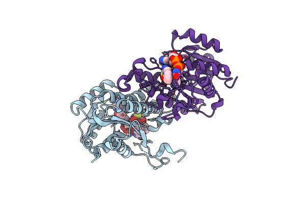 5CG2 image