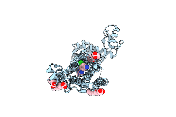 5CGD image