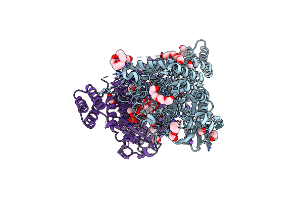 5CGM image