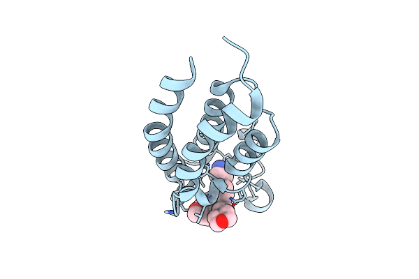 5CGP image