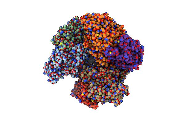 5CHC image