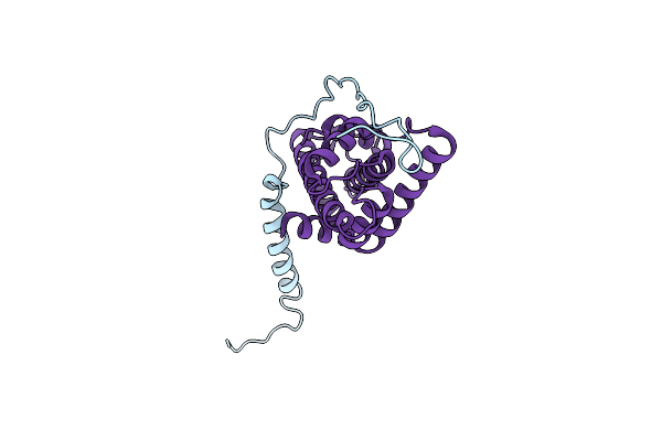 5CHL image