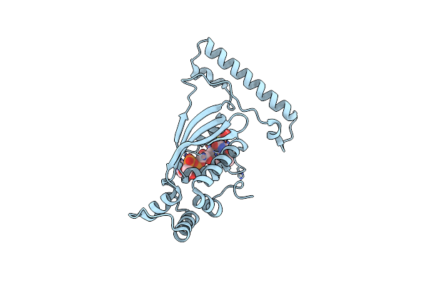 5CHP image