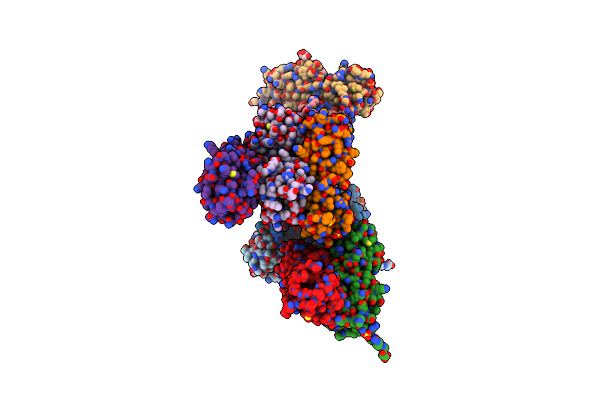 5CHW image