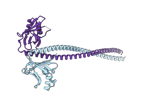 5CHX image
