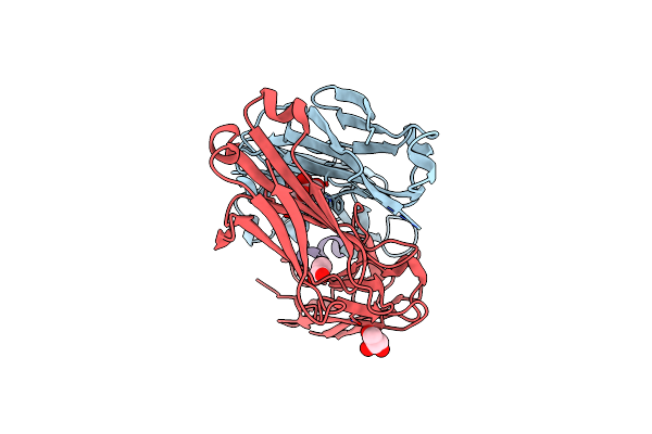 5CIL image