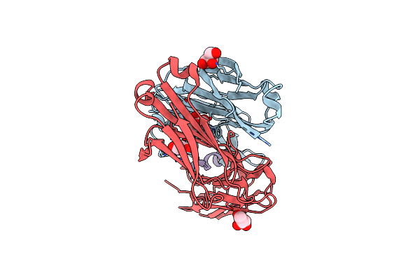 5CIN image
